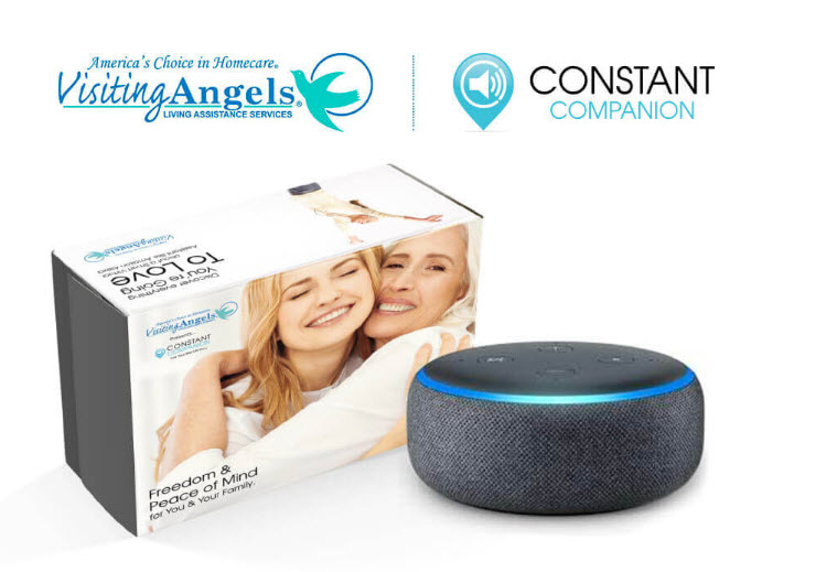 24/7 Senior Care Assistance with Constant Caregiver